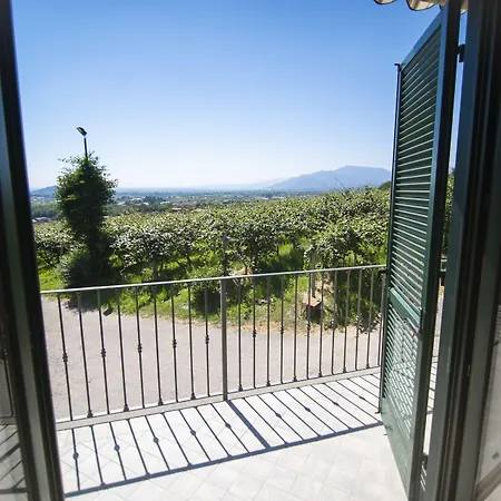 Turina * Bricherasio