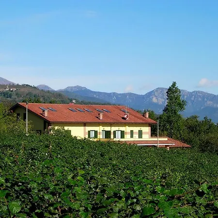 Turina Bricherasio