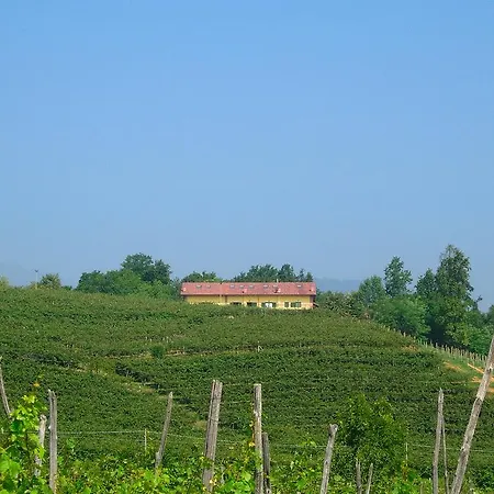 Turina Bricherasio
