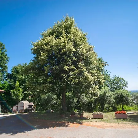 Agriturismo Turina *